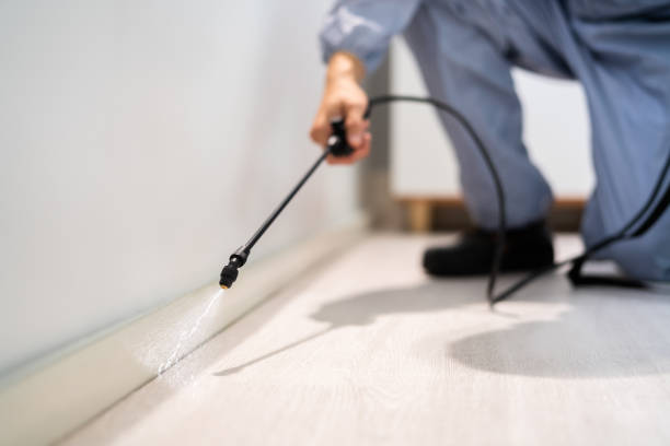 Licensed Mosquito Control service in Liberty Lake, WA - Show Me Pest Control