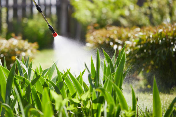 24/7 Emergency Mosquito Control experts in Liberty Lake, WA